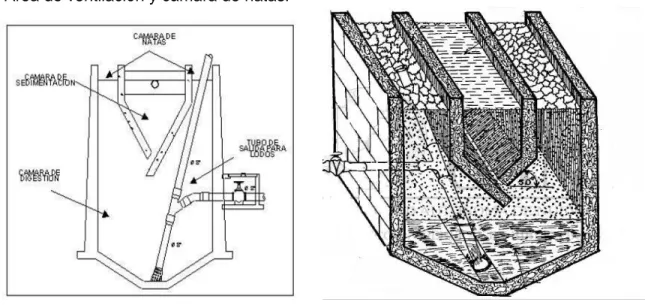 Figura 1.3. Esquema transversal del tanque Imhoff 