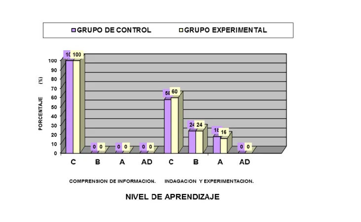 Gráfico N° 02 