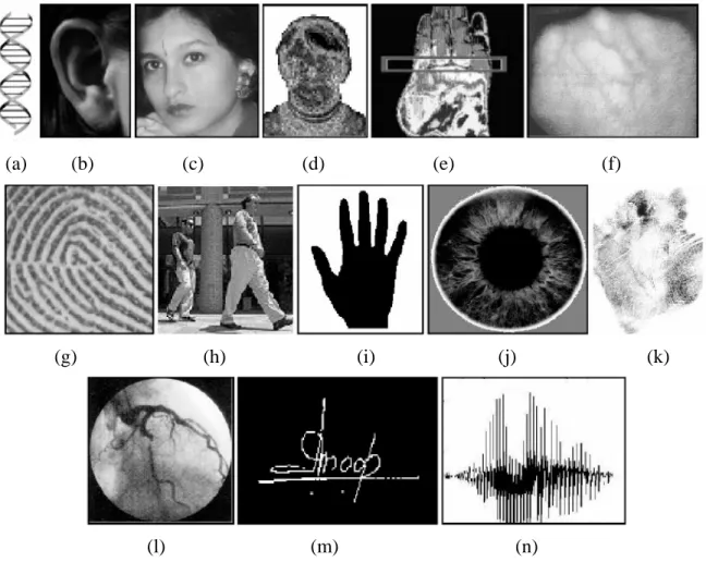 Fig. 1.1 Ejemplos de características biométricas. (a)ADN, (b) oído, (c) rostro, (d) termografía facial, (e)  termografía de la mano, (f) venas de la mano, (g) huella dactilar, (h) modo de andar, (i) geometría de la mano,  (j) iris, (k) huella de la mano, (
