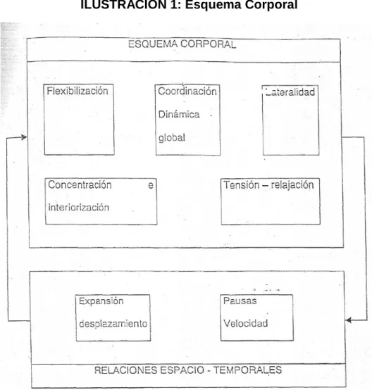 ILUSTRACIÓN 1: Esquema Corporal 