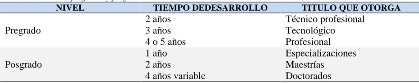 Tabla 7. Estructura pregrados y posgrados