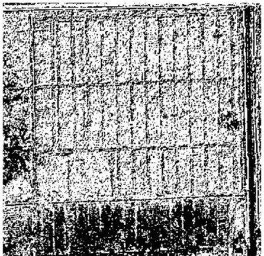 Fig. 3.4 Segmentación mediante LBP. 