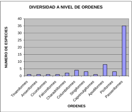 Gráfico 1 