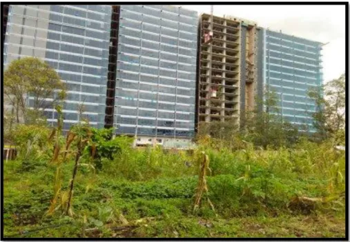 Figura  8.  Construcción  y  Maíz.  Fotografía  propia  en  la  Escuela  Agroecológica  de 