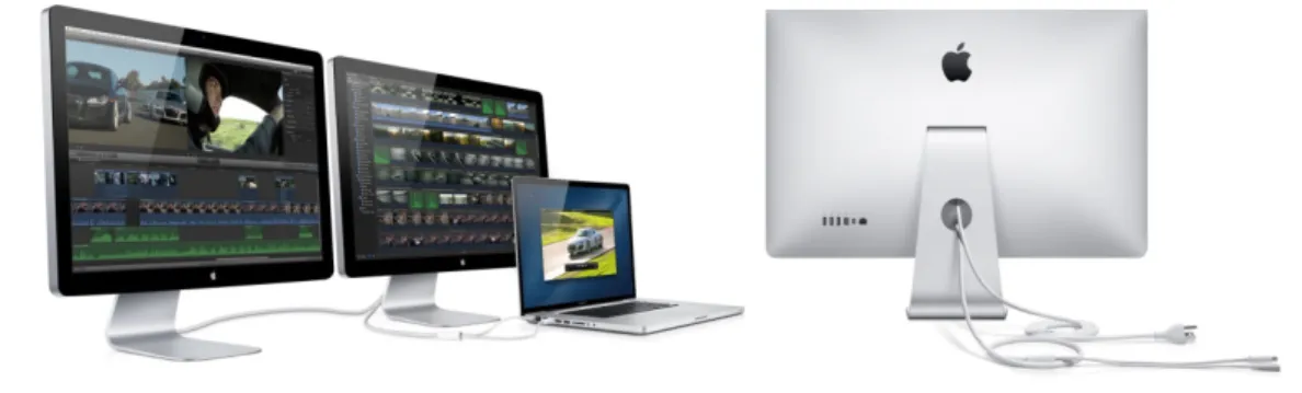 Figura 1.1: Monitores DISPLAY. 