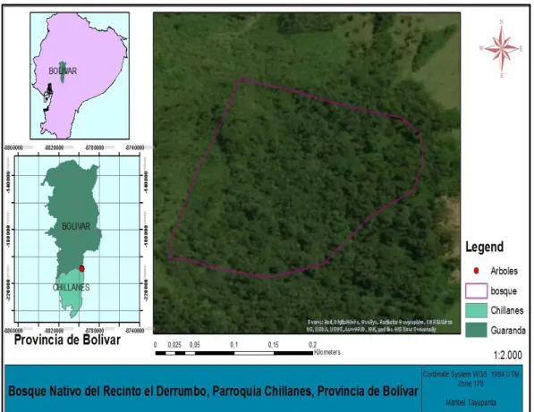 Figura 1. Ubicación geográfica del bosque nativo del recinto el Derrumbo, parroquia  Chillanes