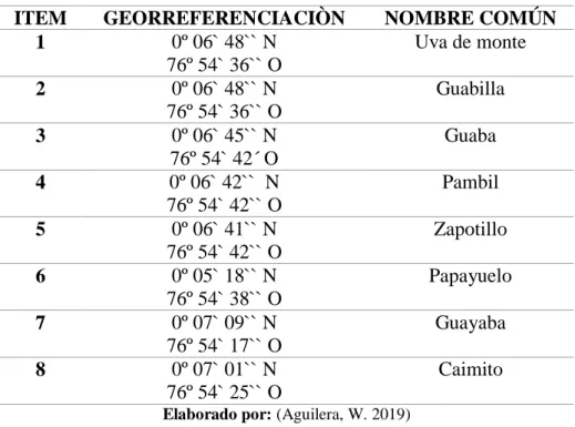 Tabla  7.  Georreferenciación  de  las  especies  forestales  fuentes  de  alimentación  para  los  primates existentes en el PERLA