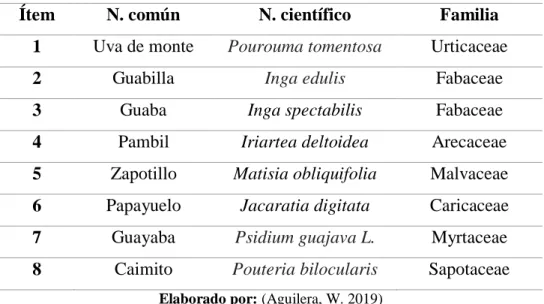 Tabla  8.  Identificación  taxonómica  de  las  principales  especies  forestales  fuentes  de  alimentación para el grupo de primates que habitan en el PERLA