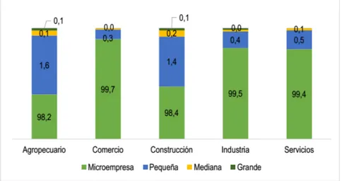 Gráfico 1. Nuevas unidades productivas en Colombia primer semestre 2017 