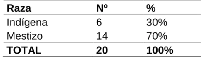 GRÁFICO Nº 2 