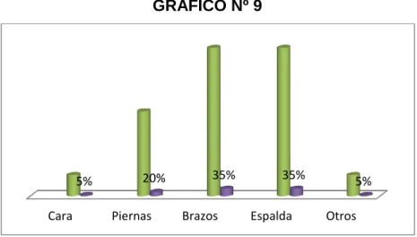 GRÁFICO Nº 9 