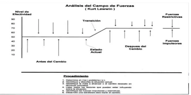 Figura 9: Análisis del campo de Fuerzas. 