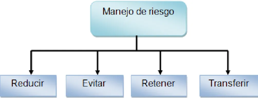 Fig 2.2  Actividades de manejo  de riesgo 