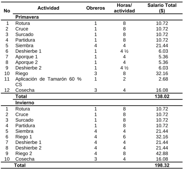 Tabla 12. Recursos humanos por actividad y época 