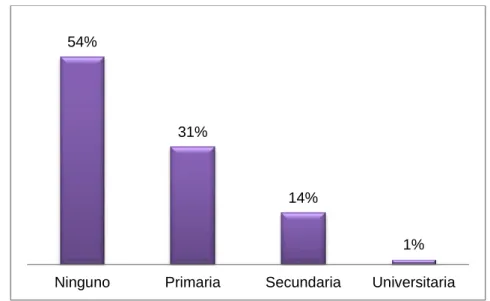Gráfico N° 4: Nivel de estudios 