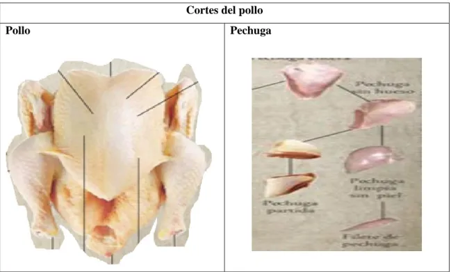 Tabla 3-2: Cortes del género cárnico del pollo 