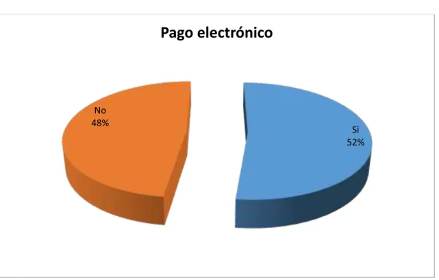 Gráfico 11-3: Pago electrónico  