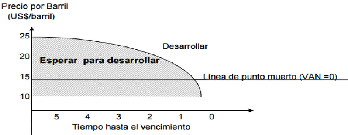 Figura 4. Momentos del proyecto 