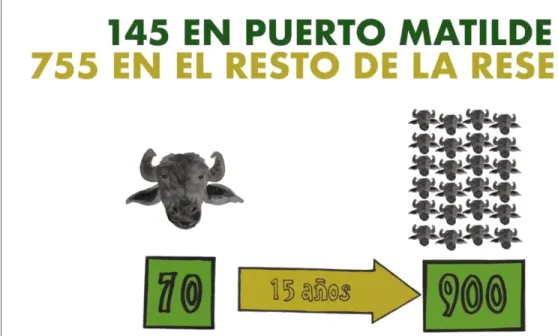 Ilustración 4.Proyecto de ganadería comunitaria bufalina