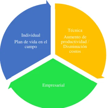 Ilustración 2: Dimensiones de intervención 