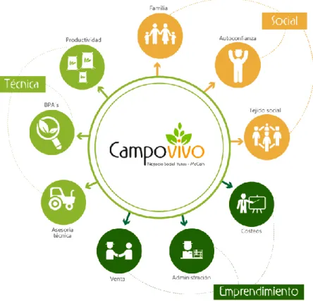Ilustración 3. Modelo Campo Vivo 