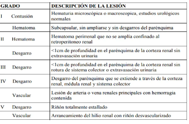 Tabla 7-1: Escala de traumatismo renal 