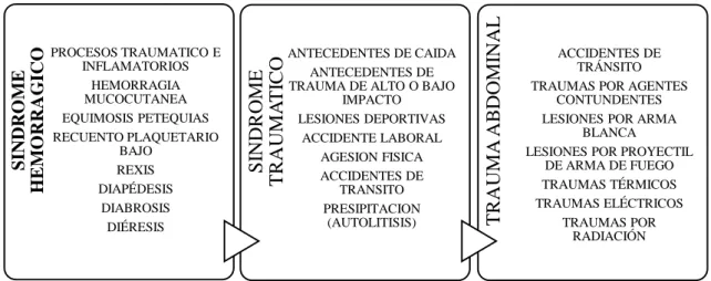 Gráfico 1-2: Diagnostico etiológico 