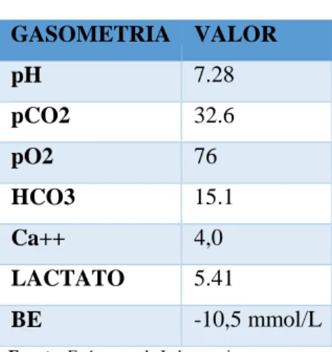 Tabla 4-2: Gasometría  GASOMETRIA  VALOR  pH  7.28  pCO2  32.6  pO2  76  HCO3  15.1  Ca++  4,0  LACTATO  5.41  BE  -10,5 mmol/L 