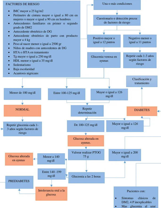 Gráfico 1-1: Algoritmo diagnóstico de Diabetes tipo 2 