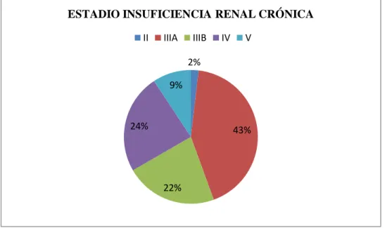 Gráfico 3-3 Estadio insuficiencia renal crónica