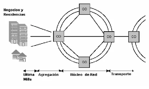 Figura 1.4.  Componentes de una MAN 