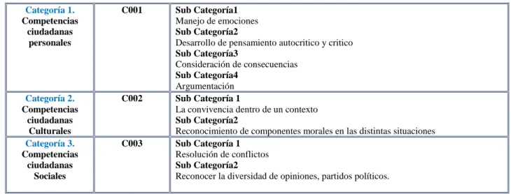 Tabla 8 Definición de la subcategoría (C001) 