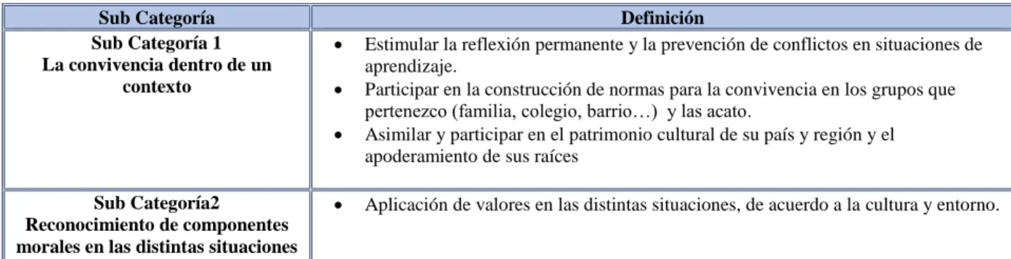 Tabla 10 Definición de la subcategoría (C003) 