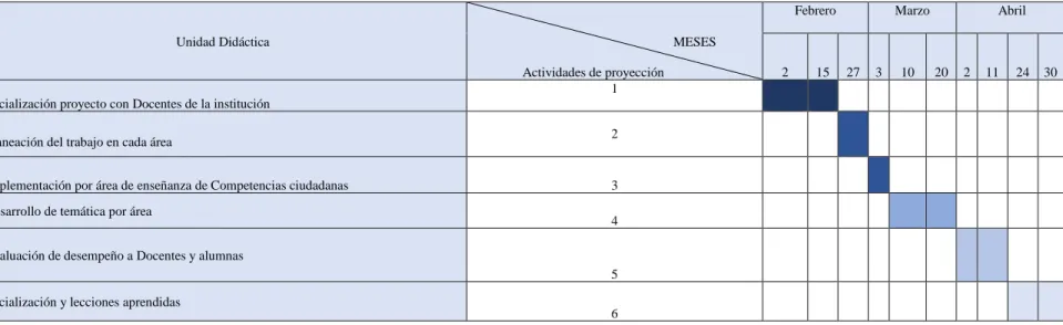 Tabla 12 Cronograma proyección  