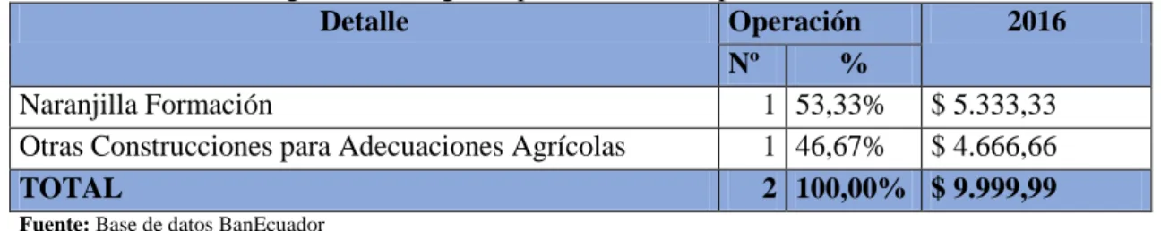 Tabla 7-4: Créditos Agrícolas Otorgados por la Oficina Especial Baños 2016 
