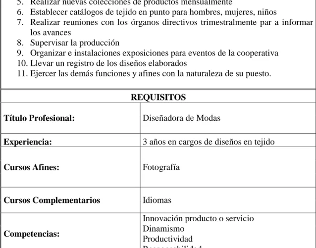 Tabla 16-4: Manual de Funciones Diseñadora 