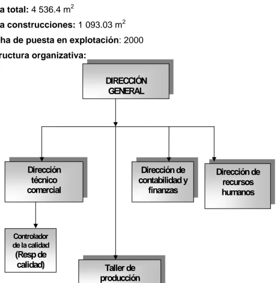 Figura 1  - Estructura organizativa de VILLALCO 
