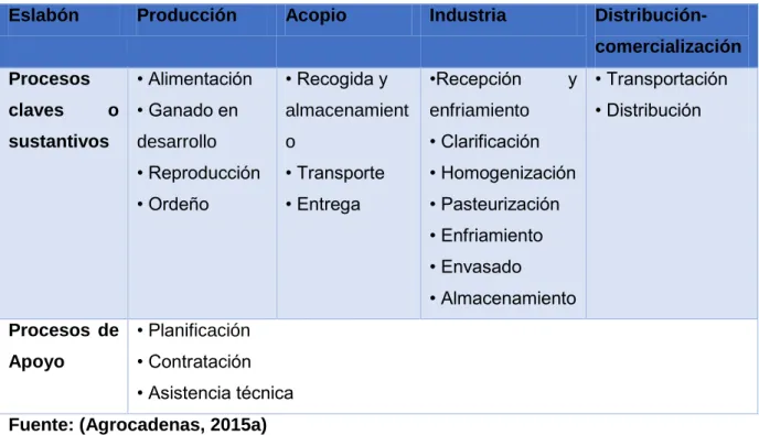 Tabla 2. Procesos calves de la cadena. 