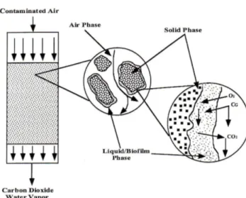 Figure 1. The mechanism of a biofilter (Devinny et al., 1999). 