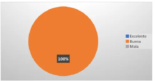 Gráfico 9: 