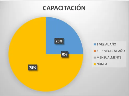Figura 19: Capacitaciones 