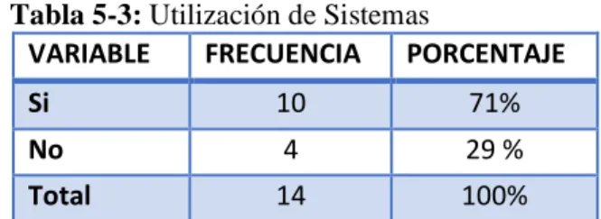 Tabla 5-3: Utilización de Sistemas 