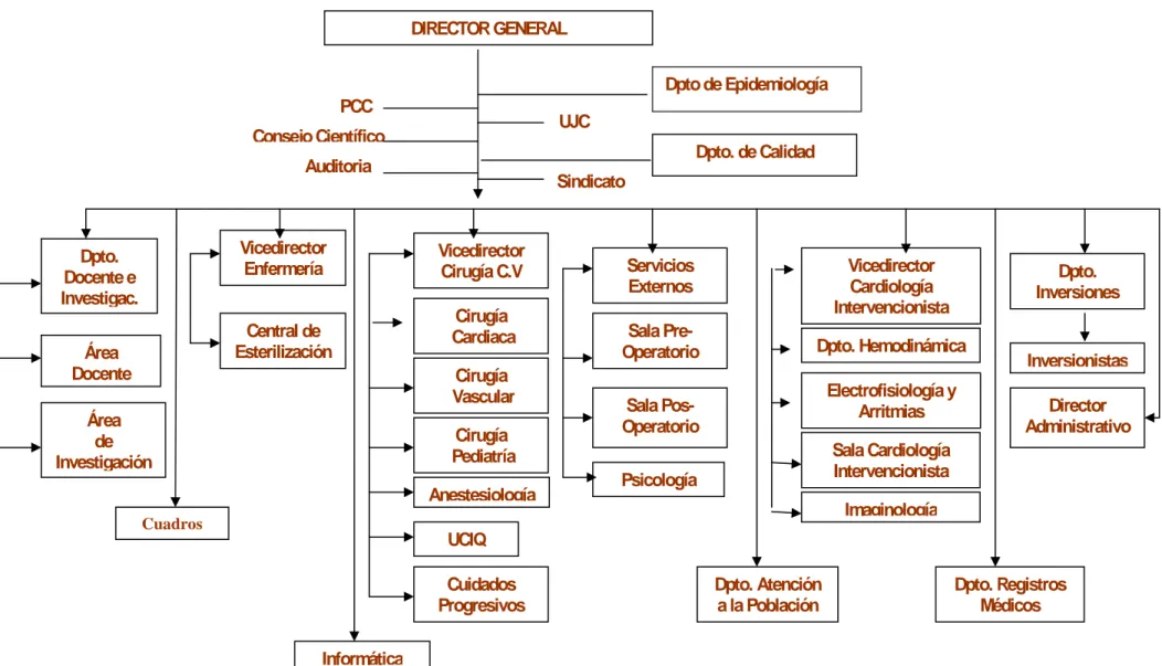 Figura 2- Organigrama general del Cardiocentro Ernesto Che Guevara de Villa Clara Vicedirector Cardiología Intervencionista Dpto