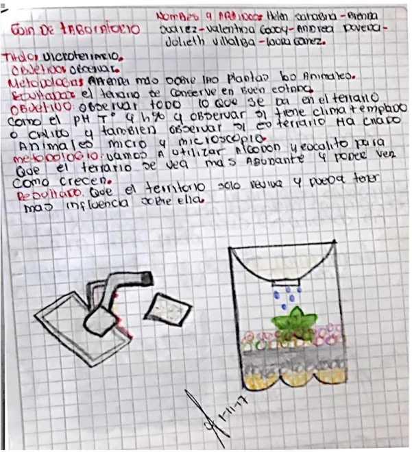 Ilustración 5. Guía de laboratorio escrita por estudiantes