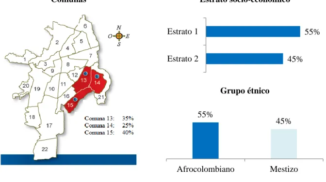Gráfico 5. Comunas, estrato socioeconómico y grupo étnico de los estudiantes 