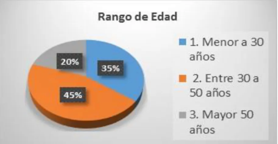 Figura 16. Rol en el proyecto 