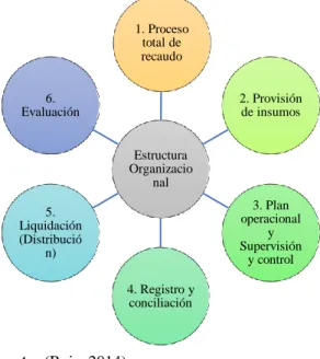Gráfico 2: Esquema conceptual de la estructura organizacional del sistema de caja común                                                        