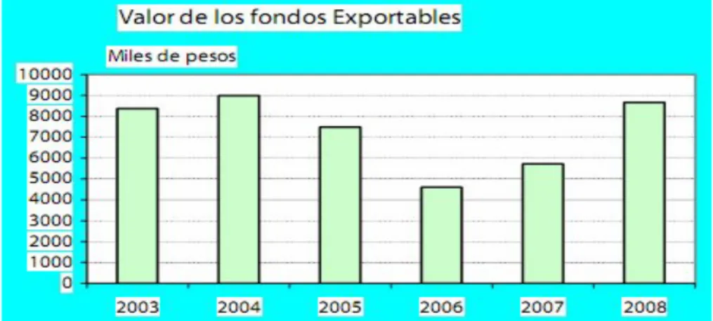 Figura 2.5. Valor de los fondos exportables Fuente: ONE