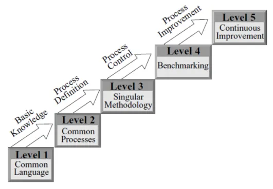 Figura 4. Los cinco niveles de madurez en gestión de proyectos según Kerzner (2001). 