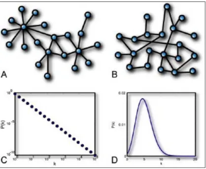 Figure 4 – Random networks (A and C) vs. scale-free networks (B and D).  